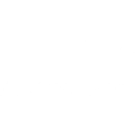 Arena Net